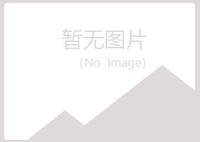 三门峡凌雪采矿有限公司